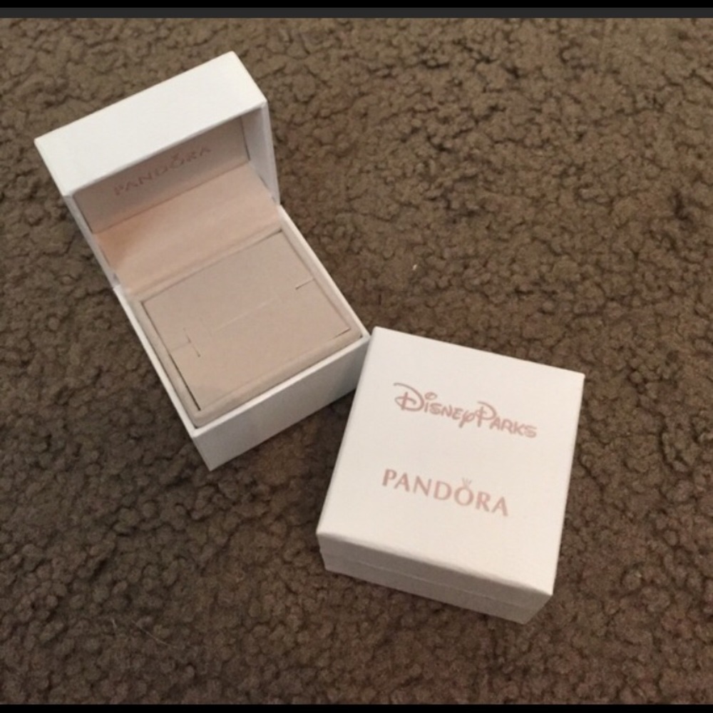 Disney Park Pandora Box (empty)